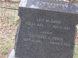 Levi M Davis