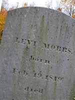Levi Mobbs