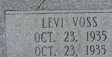 Levi Voss