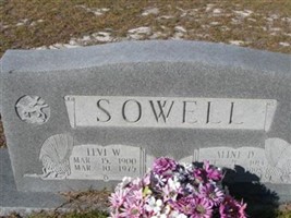 Levi Wilson Sowell