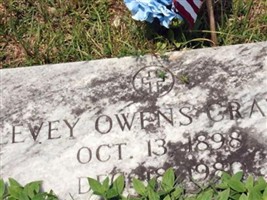 Levy Owens Craven Levy Owens Craven