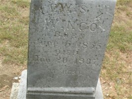 Lewis Abner Wingo