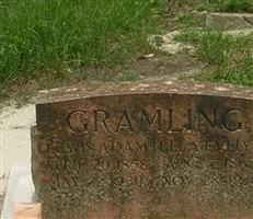 Lewis Adam Gramling