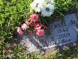 Lewis C. Newell, Jr