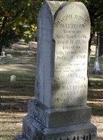Lewis E J Mattison