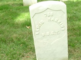 Lewis Haskins