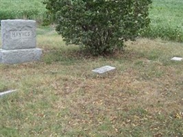 Lewis Haynes Family