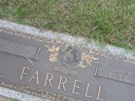 Lewis J Farrell, Jr Lewis J Farrell, Jr
