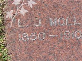 Lewis Joe Moll