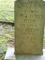 Lewis L. Roy
