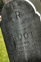 Lewis Root Lewis Root