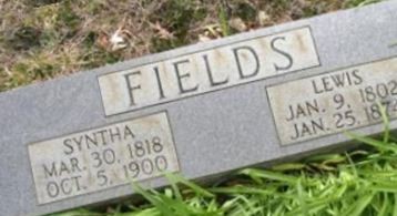 Lewis Sims Fields Lewis Sims Fields