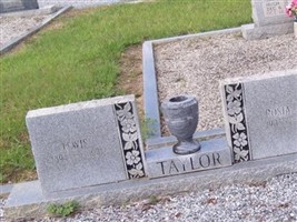 Lewis Taylor