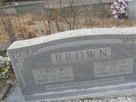 Lewis W Brown