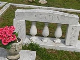 Lewis William Veatch