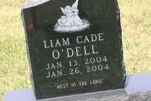 Liam Cade O'Dell