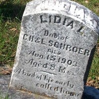 Lidia L. Schroer Lidia L. Schroer