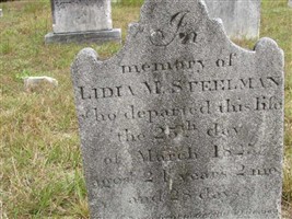 Lidia M Steelman