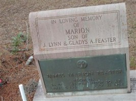 Lieut James Marion Feaster