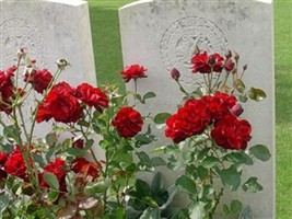 Lieutenant Alwyn Ronald Macfarlane-Grieve Lieutenant Alwyn Ronald Macfarlane-Grieve