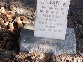 Lilian E. Wiggins