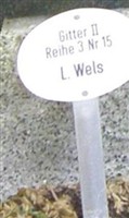 Lilli Wels Lilli Wels