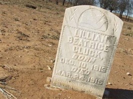 Lillian Beatrice Cluck