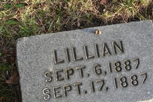 Lillian Dove