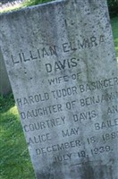 Lillian Elmira Davis Basinger Lillian Elmira Davis Basinger