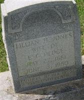 Lillian H. Jones Hedge (2053772.jpg)