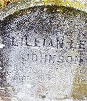 Lillian Lee Johnson