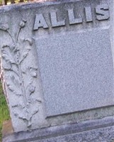 Lillian M Allis
