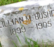 Lillian M Bushey