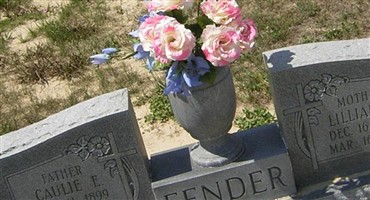 Lillian P Fender Lillian P Fender