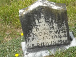 Lillie Andrews Lillie Andrews