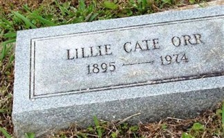 Lillie Ann Cate Orr