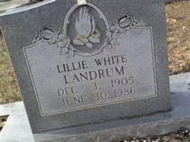 Lillie Belle White Landrum