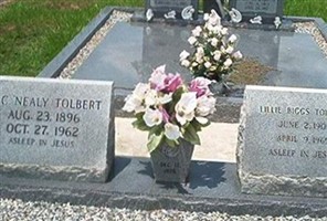 Lillie Biggs Tolbert Lillie Biggs Tolbert