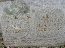 Lillie Bounds Lillie Bounds