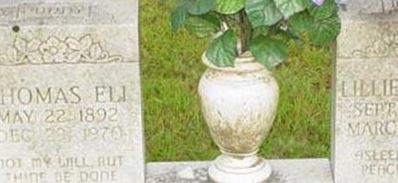 Lillie Cedars McNeely