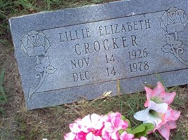 Lillie Elizabeth IRVIN Crocker