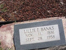 Lillie Eugenia McClung Banks