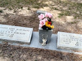 Lillie Felkel Marchant Lillie Felkel Marchant