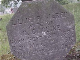 Lillie Frances Jared Cline