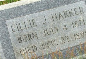 Lillie J Harker
