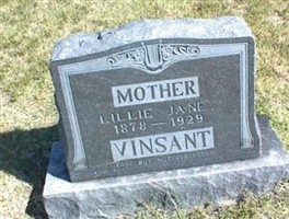 Lillie Jane Vinsant