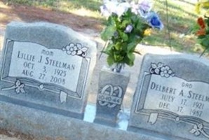 Lillie Janet Steelman