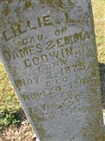 Lillie L. Godwin