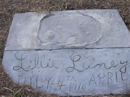 Lillie Laney