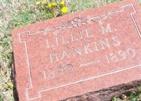 Lillie M. Hankins